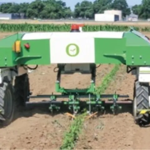 Vegetable weeder is demonstrated at Weed Day at UC Davis. (photo credit: Bob Johnson)