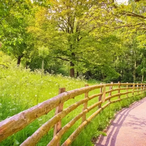 House in a meadow (wallpapers13.com)