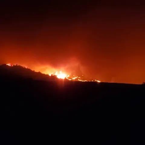 A wall of fire races toward Quail Canyon Road, home of Caroline Yelle's business, Pope Canyon Queens.