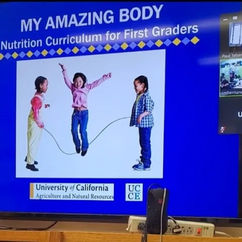 More than 60 online lessons that emphasize healthy eating, active living and gardening are being developed for students in prekindergarten through eighth grade.