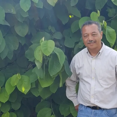 Ray Lucas stands beside a tall avocado tree.