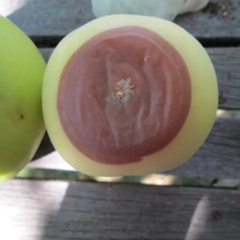 Rapidly spreading damage.