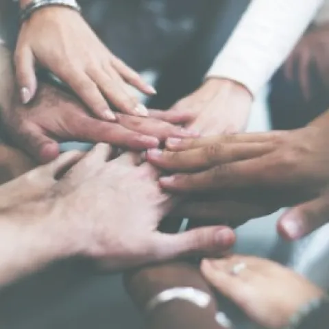 ANR has adapted Food Solutions New England Sustainability Institute's 21-Day Equity Challenge for ANR employees .