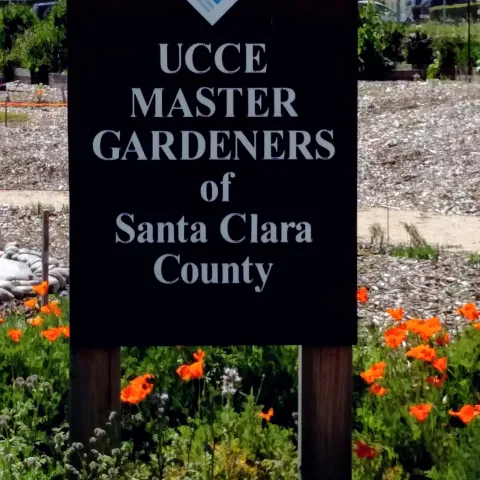 Sign for UC Master Gardeners at Martial Cottle Park
