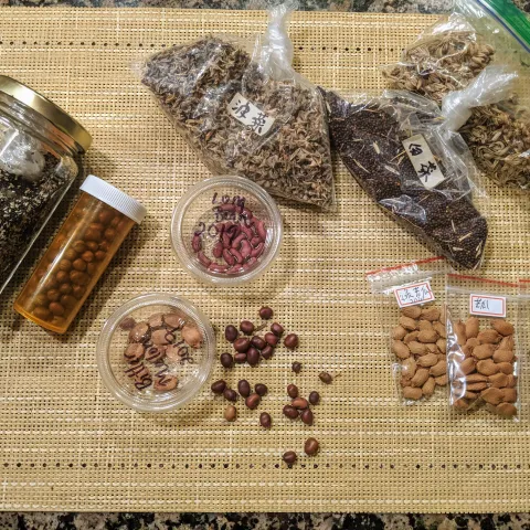 Seeds in clear packets