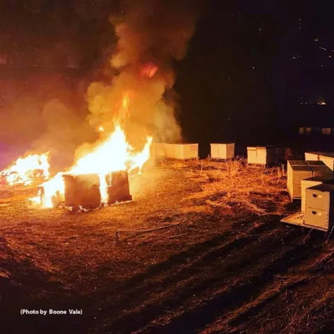 Boone Vale, a volunteer with the Bodega Bay Fire Department, took this heartbreaking image of a fire reaching the Pope Valley hives of Caroline Yelle, owner of Pope Valley Queens. Yelle credits him for saving some of her hives. (Photo by Boone Vale, used with permission)