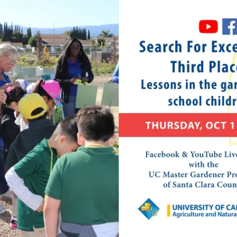 SFE Santa Clara Live ART