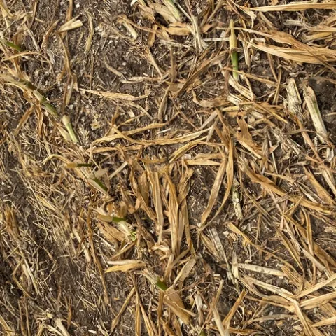 891E98D1-3F3F-401C-AF91-247F1DD5C15E