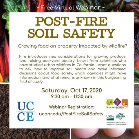 post fire soil safety