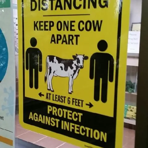 UCCE Tulare shows off its humor while acknowledging the local dairy industry