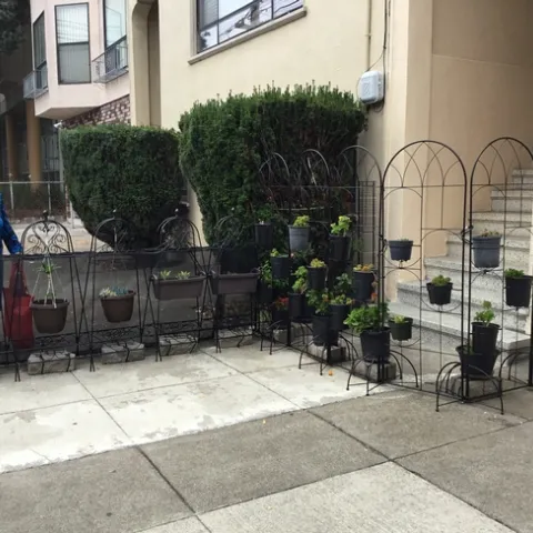 photos by Tina Saravia