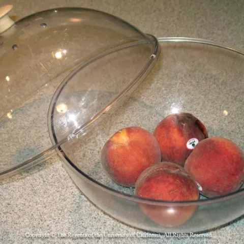 Peaches in a ripening bowl