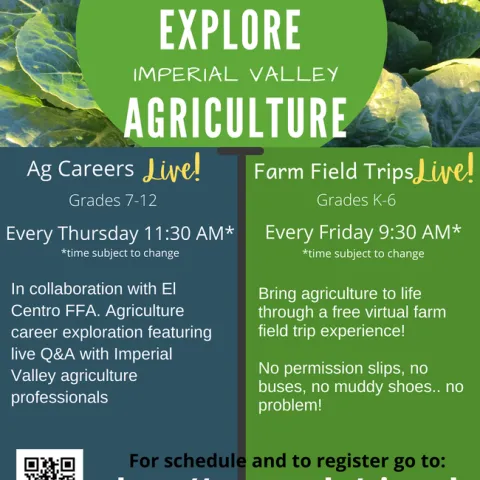 flyer with description of virtual programs