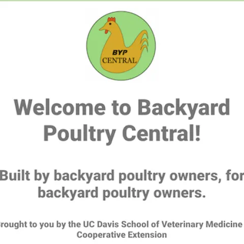 Backyard Poultry Central is a new smartphone app for poultry enthusiasts.