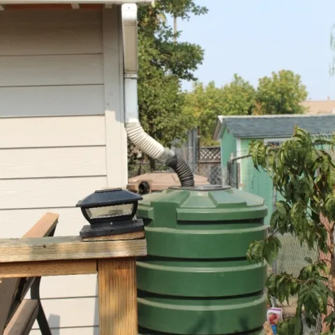 photos by Brenda Altman