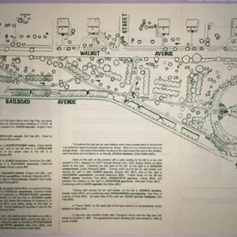 photos by Sally Thompson