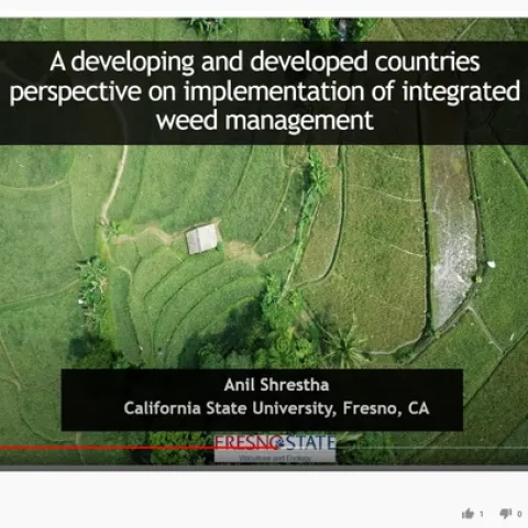 Anil Shrestha on The IPM Hour