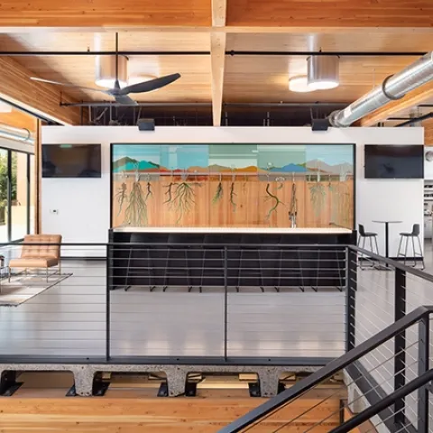 This is Miridae's Seed Bank Living Wall at DPR Construction that won the America Society of Landscape Architects' Award of Excellence. The annual contest draws entries from around the world. (Photo by Chad Davies)