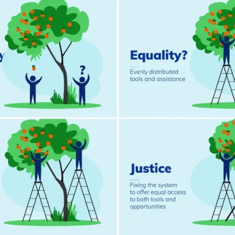 Four boxes with two apple trees and two people below them. In the first box titled Inequality "Unequal access to opportunities" you see one person receive an apple while the other person has none, with a ? above their head. In the second box titled Equality? "Evenly distributed tools and assistance, both people have a ladder but one person still has more access to fruit on their side of the tree. In the third box titled Equity "Custom tools that identify and adress inequality, the person has a taller ladder