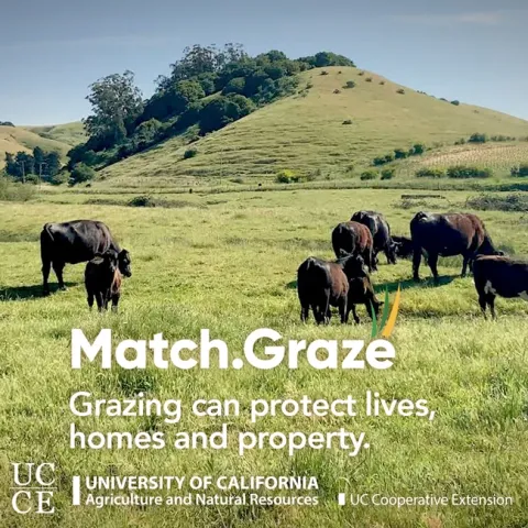 Match.Graze-CTA-TN-SQUARE-06