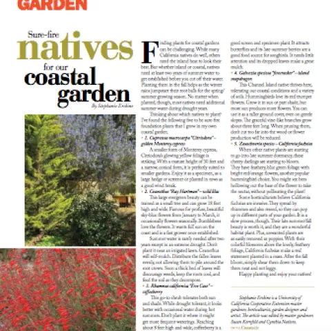 Screen Shot 2020-10-17 at 3.17.57 PM