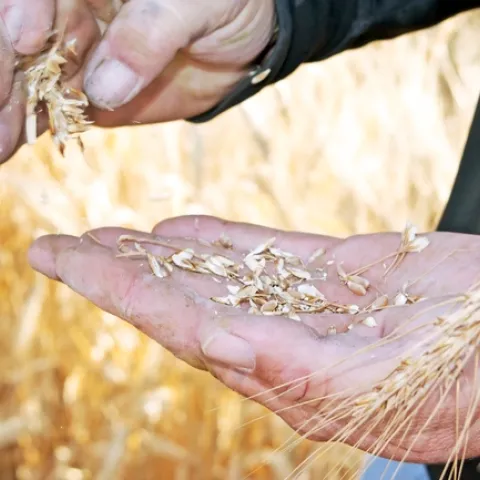 Sample photo by Evett Kilmartin.