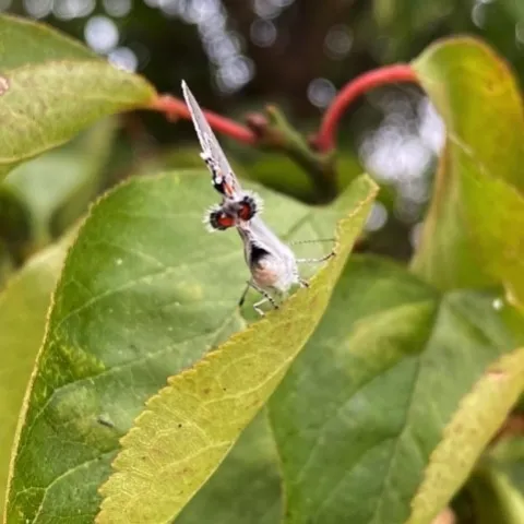 Here's lookin' at you...?