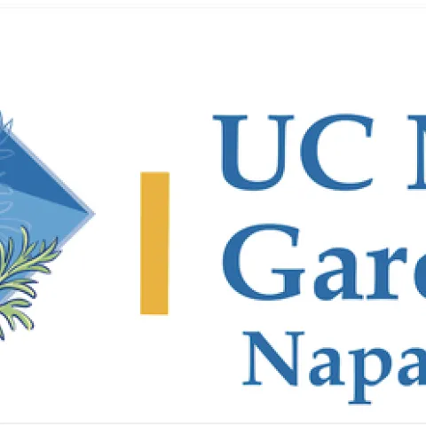 Napa MG banner
