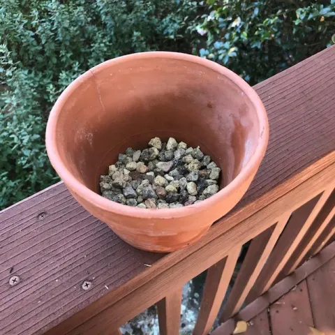 Pot with gravel