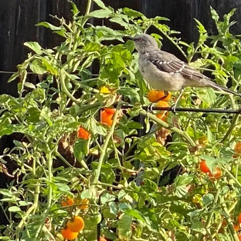 photo by Erin Mahaney