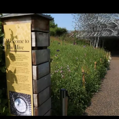 photo by Tina Saravia