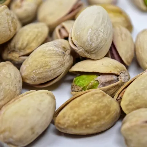 Harvested pistachios