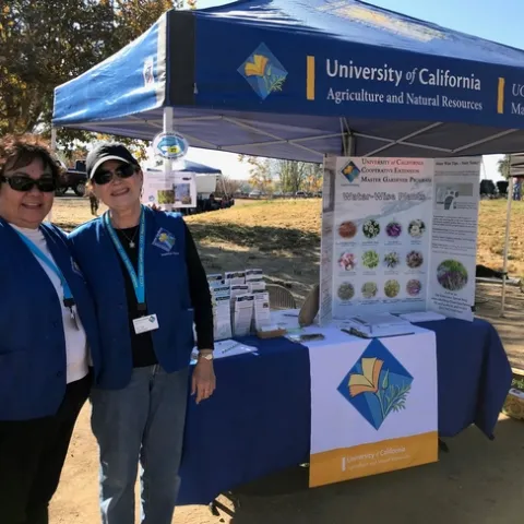 2019 Salmon Festival.