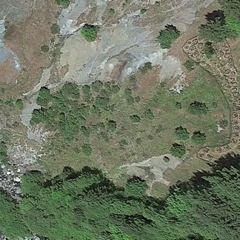 Cannabis grows near a salmon stream in Humboldt County. Environmental impacts of cannabis are among the research funded to inform cannabis policy in California.