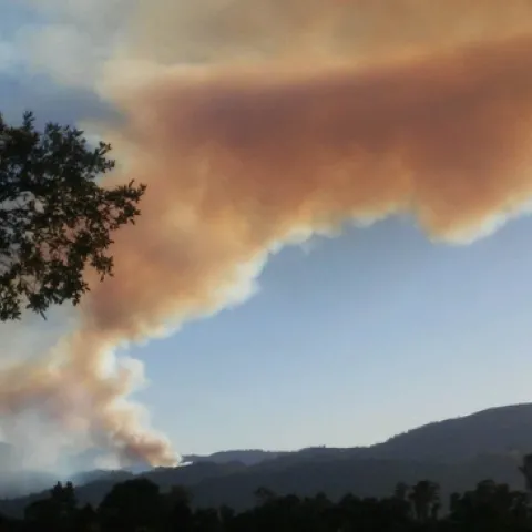 Wildfire (larampadinapoli.com)