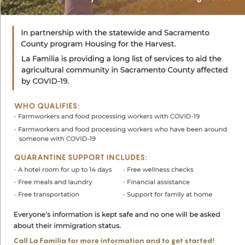 Screen Shot 2020-11-30 at 8.07.26 PM