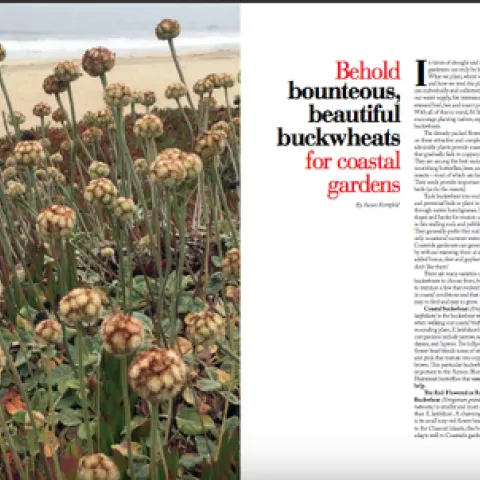 Screen Shot 2020-11-29 at 2.56.07 PM