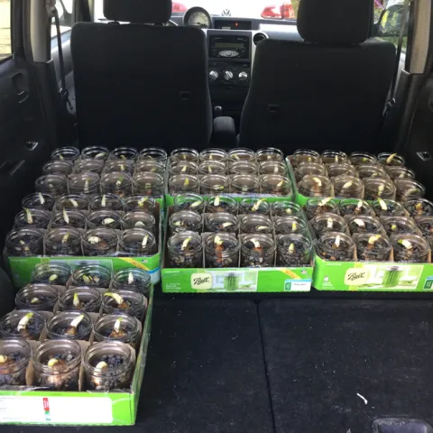 photos by Sally Thompson