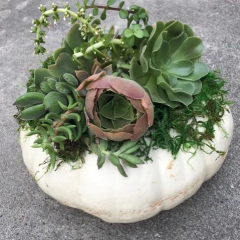 photos by JoAnn Brown