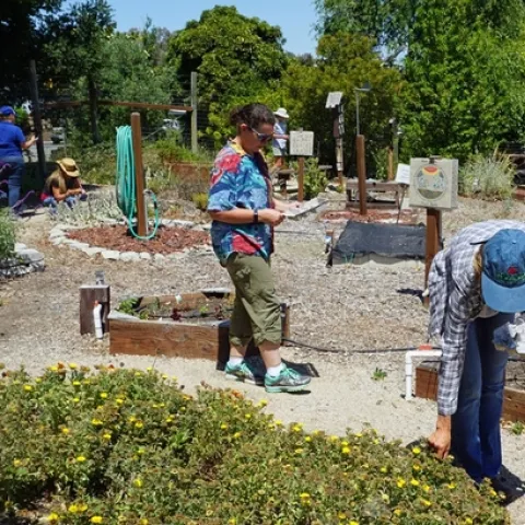 Designate permanent walking paths so garden beds are not compacted by foot traffic.