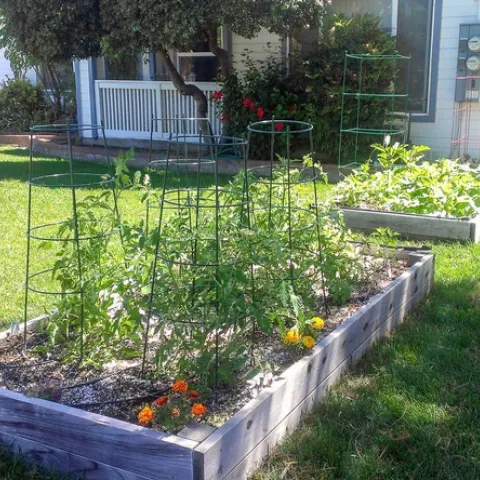 home garden