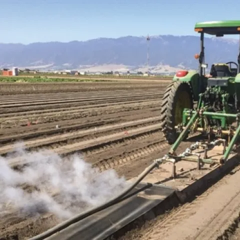 After testing steam treatments in three Salinas Valley trials this year, UC Cooperative Extension specialists say they believe the technique can significantly reduce weed pressure in lettuce and spinach fields, and can cut hand-weeding time. Photo/Courtesy Steve Fennimore, UCCE/UCD