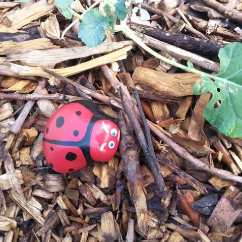 From For the Garden Photo 1