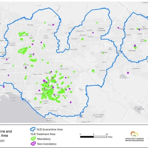 HLB quarantine area 2020 dec