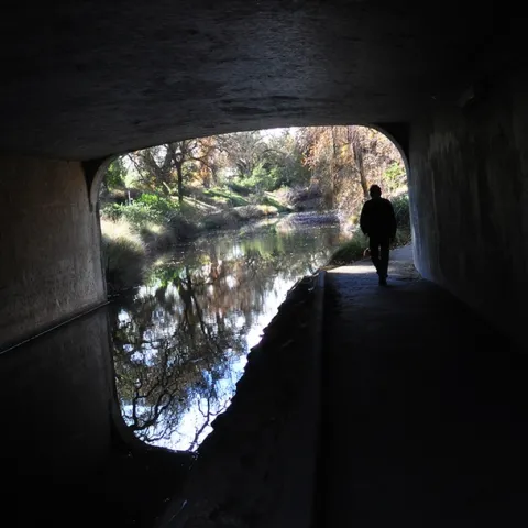 Some 5.8 million Americans have Alzheimer's disease, an irreversible brain disease that slowly destroys memory and thinking skills. UC Davis distinguished professor Bruce Hammock sees a light at the end of the tunnel. (Photo by Kathy Keatley Garvey)