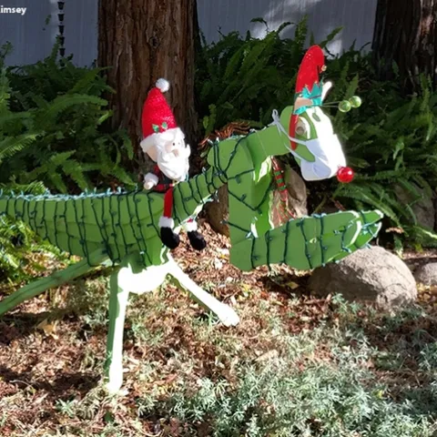 Giddy-up! Santa, being the jolly ol' gent he is, drives The Red-Nosed Mantis in front of the Davis home of entomologists Robert and Lynn Kimsey of the UC Davis Department of Entomology and Nematology. (Photo by Lynn Kimsey)
