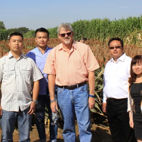 Jeff Dahlberg, center, with a delegation of Chinese sorghum scientists on Sept. 24, 2015, in a sorghum field at Kearney.