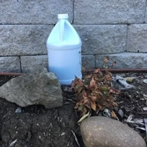 photos by Tina Saravia