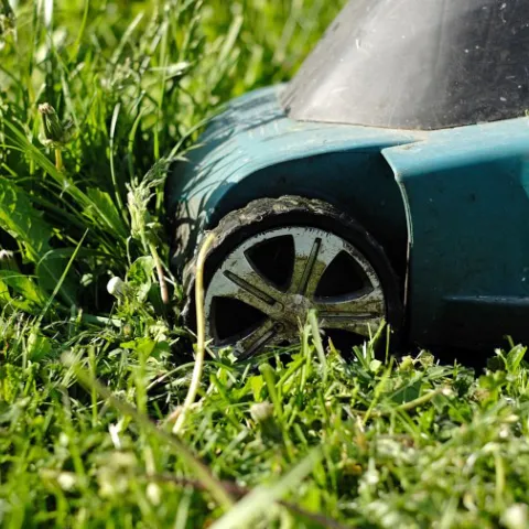 Leave grass clipping after mowing and reduce your need for fertilizer.