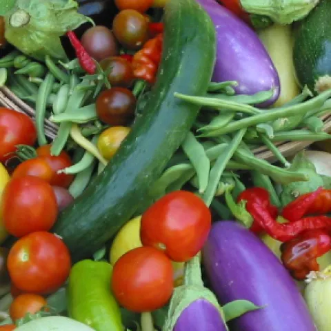 Vegetables spilling from basket small thumbnail David Giroux, MG